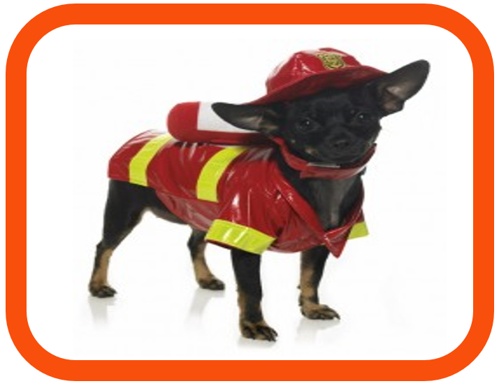 Agile firefighting dog